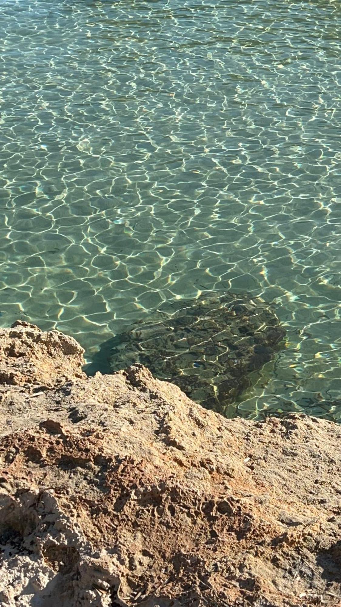 Capitolo Villa Monopoli Luaran gambar